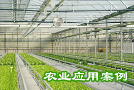農(nóng)業(yè)應(yīng)用案例：水源熱泵機組助力恒溫大棚種植，更低運行成本